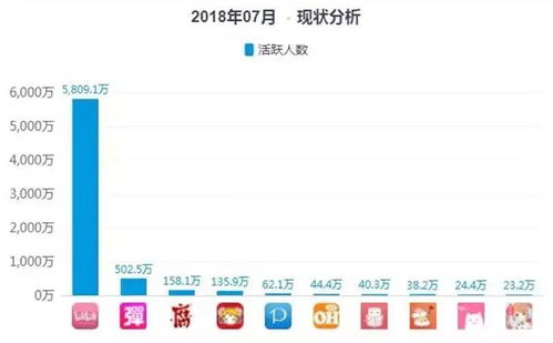 嗶哩嗶哩 以用戶生態(tài)為核心，戰(zhàn)略性虧損下的未來(lái)與大數(shù)據(jù)營(yíng)銷機(jī)遇